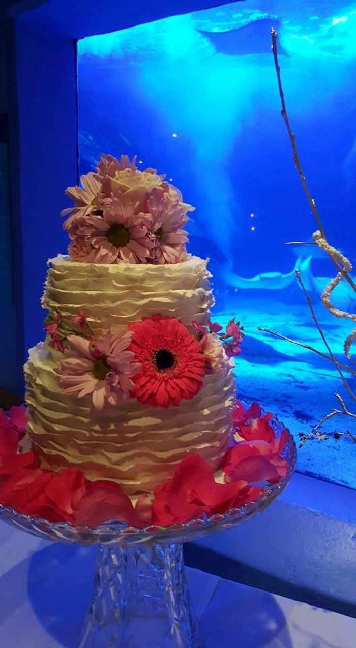 Cakes, Cupcakes, Desserts Sugar It Up Clarksville, Virginia